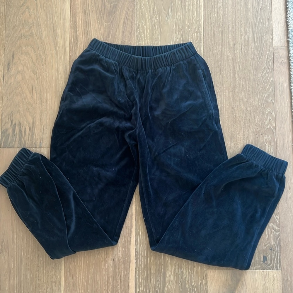 John Galt (Brandy Melville) Velour Rosa Sweatpants, Navy